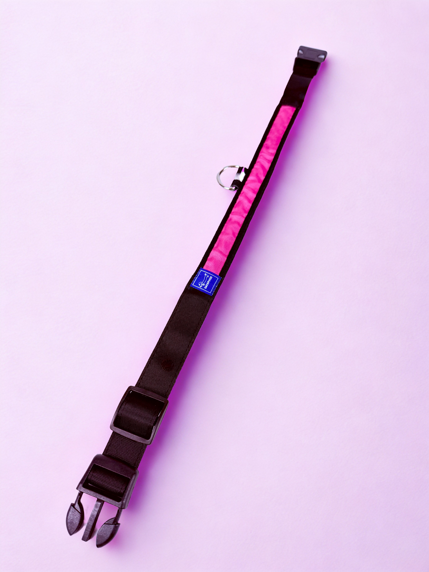 Collier LED nocturne